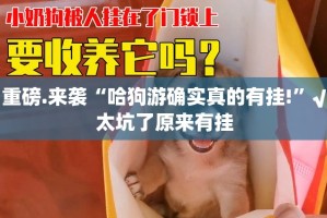 重大通报八喜休闲原来确实有挂原来真可以开挂