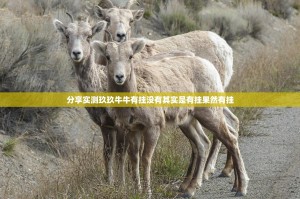 重磅.来袭熟人牛牛果然有挂原来真可以开挂