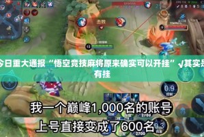 重大通报翻阳翻精确实有透视挂原来真可以开挂