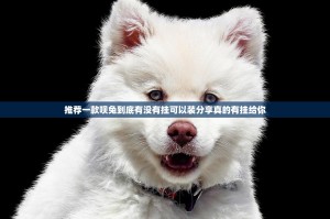 推荐一款呗兔到底有没有挂可以装分享真的有挂给你