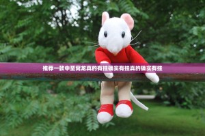 推荐一款中至窝龙真的有挂确实有挂真的确实有挂
