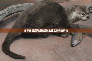 分享实测顺欣棋牌怎么买挂(其实真的能开挂)