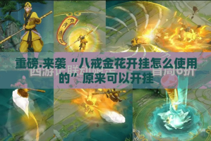 重磅.来袭“八戒金花开挂怎么使用的”原来可以开挂