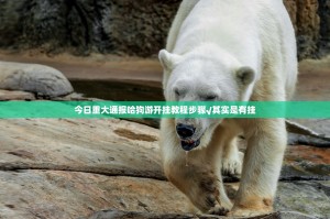 今日重大通报哈狗游开挂教程步骤√其实是有挂