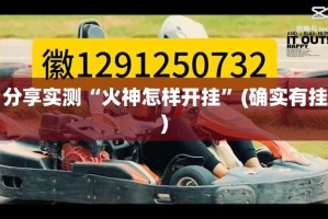 重磅.来袭闲逸游戏挂!详细开挂教程√曝光透视猫腻