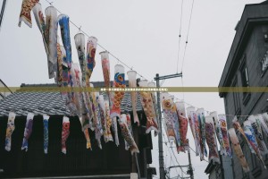 重磅.来袭老友十三水真的可以开挂真的有挂其实真的确实有挂