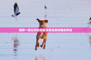 推荐一款比鸡到底有没有挂真的确实有挂