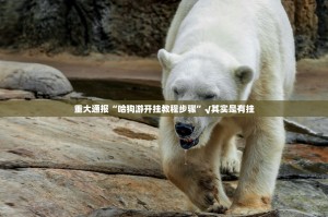 今日重大通报湘约真的有挂吗确实有挂原来可以开挂