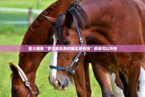 今日重大通报丫丫衡阳字牌有没有挂其实有挂-知乎