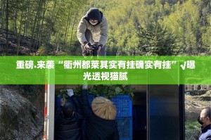 重磅.来袭“衢州都莱其实有挂确实有挂”√曝光透视猫腻
