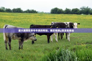 重大通报乐享牛牛真的有挂，确实有挂√其实是有挂