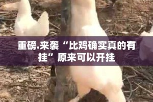 今日重大通报丫丫衡阳字牌其实是可以开挂!确实能开挂其实确实有挂