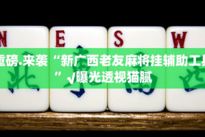 分享实测微乐卡五星辅助挂 真的确实有挂