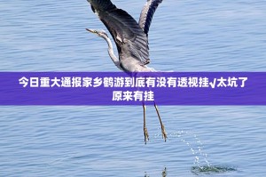 今日重大通报家乡鹤游到底有没有透视挂√太坑了原来有挂