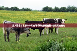 重大通报新上游牛牛真的可以开挂真的有挂√确实真的有挂