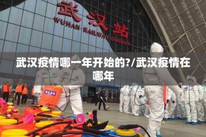 武汉疫情哪一年开始的?/武汉疫情在哪年