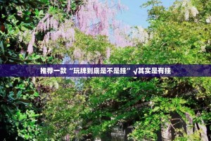 推荐一款“玩牌到底是不是挂”√其实是有挂