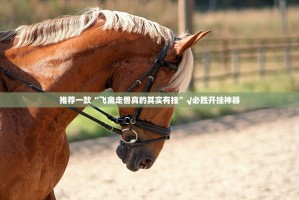 推荐一款“飞禽走兽真的其实有挂”√必胜开挂神器