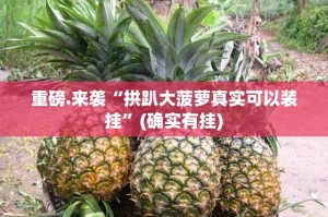 重磅.来袭“拱趴大菠萝真实可以装挂”(确实有挂)