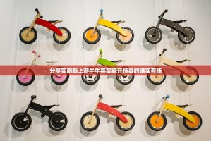 推荐一款德州牛仔挂软件”(其实真的能开挂)