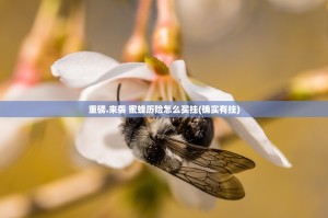 重磅.来袭 蜜蜂历险怎么买挂(确实有挂)