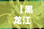重磅.来袭“广丰五十K到底有没有挂可以装”√必胜开挂神器