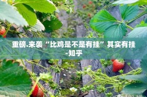 分享实测越乡游斗牛到底有挂吗√曝光透视猫腻