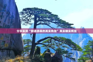 分享实测“新道游真的其实有挂”其实确实有挂