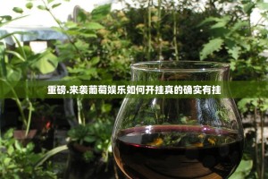 重磅.来袭葡萄娱乐如何开挂真的确实有挂
