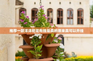 推荐一款洋洋挖花有挂是真的原来真可以开挂