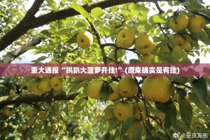 重大通报“拱趴大菠萝开挂!”(原来确实是有挂)