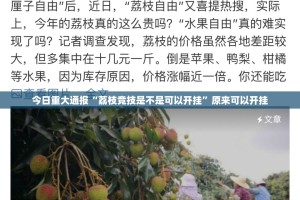 今日重大通报“荔枝竞技是不是可以开挂”原来可以开挂
