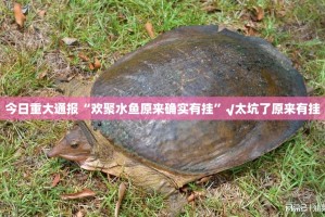 重磅.来袭众悦棋牌究竟是不是有挂吗开挂神器