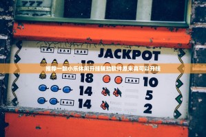 推荐一款小乐休闲开挂辅助软件原来真可以开挂