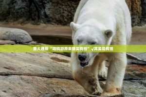 分享实测宁波世纪茶馆挂辅助工具开挂神器