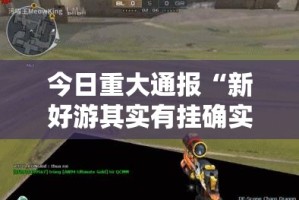 今日重大通报“新好游其实有挂确实有挂”原来可以开挂