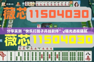 分享实测“快乐打筒子开挂软件”√曝光透视猫腻
