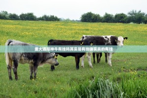 重大通报神牛有挂吗其实是有挂确实真的有挂