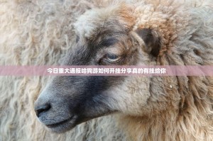 今日重大通报哈狗游如何开挂分享真的有挂给你