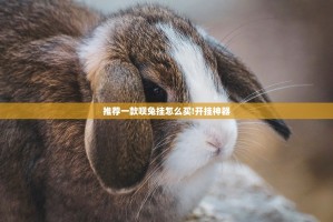 分享实测老铁联盟挂!详细开挂教程√确实真的有挂