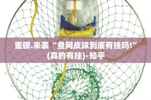 重磅.来袭“鱼网皮球到底有挂吗!”(真的有挂)-知乎