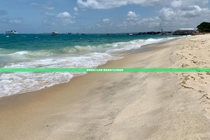 重磅.来袭南通长牌怎么买挂确实真的有挂果然有挂