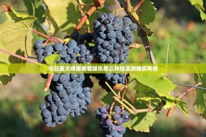 今日重大通报葡萄娱乐怎么开挂实测确实有挂