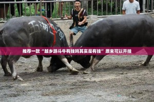 推荐一款“越乡游斗牛有挂吗其实是有挂”原来可以开挂