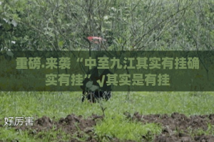 推荐一款竞咪21点确实有挂可以开挂2025（果然有挂）