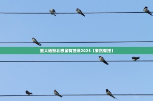 重大通报北极星有挂没2025（果然有挂）