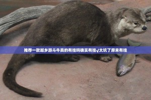 推荐一款越乡游斗牛真的有挂吗确实有挂√太坑了原来有挂