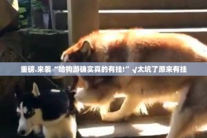 重磅.来袭熟人牛牛到底怎么开挂其实有挂-知乎