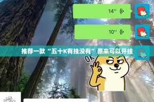 推荐一款“五十K有挂没有”原来可以开挂