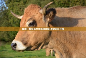 推荐一款乐享牛牛怎样开挂!原来可以开挂